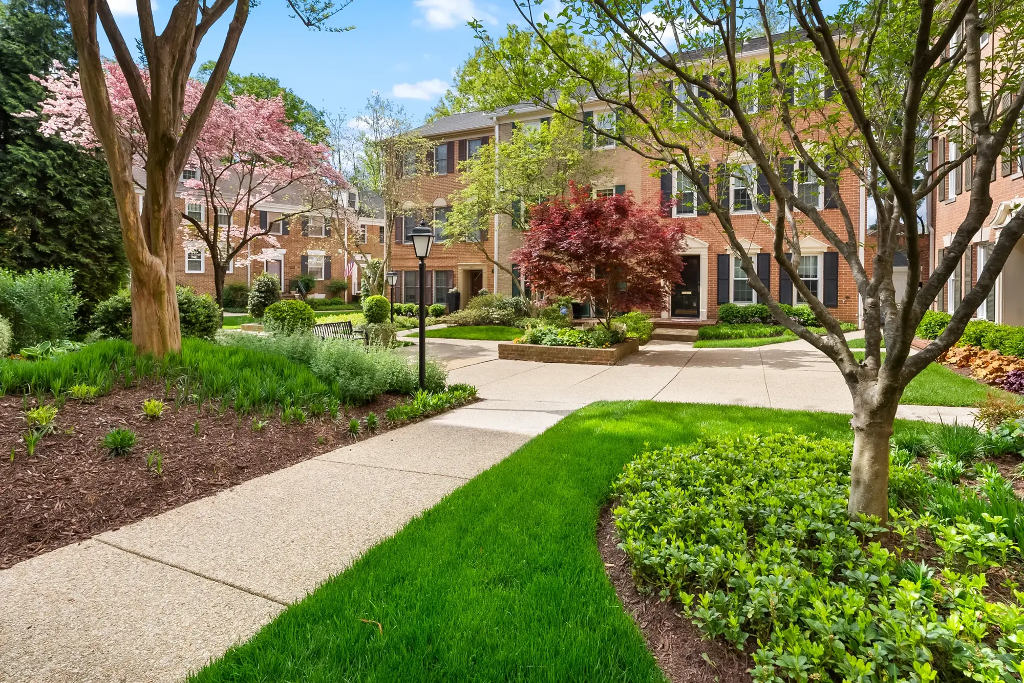 Tree lined townhome community in spring